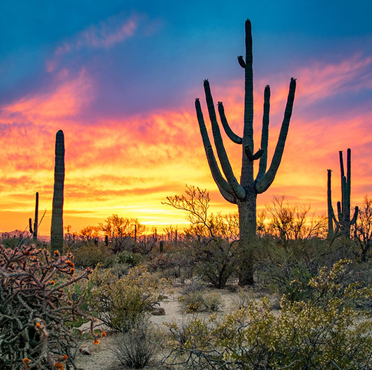 Horseshoe Bend Shuttle & Tours | Shuttle Service Horseshoe Bend Page AZ